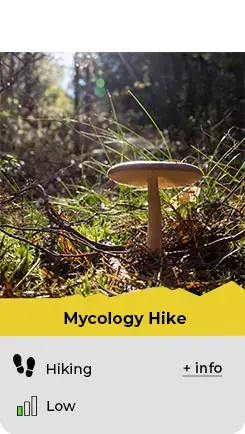 Mycology hiking