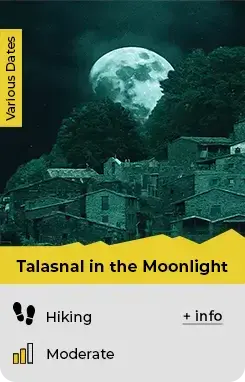 Talasnal moonlight