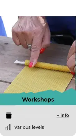 workshops activities