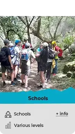 schools activities