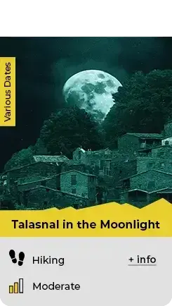 talasnal-moonlight-activity